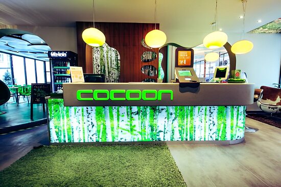 COCOON7